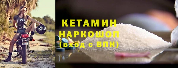 индика Киренск