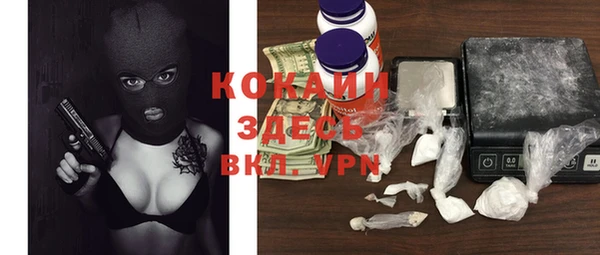 индика Киренск