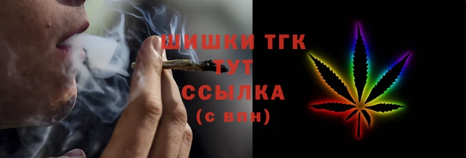 индика Киренск