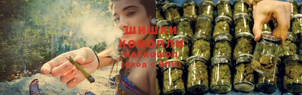 индика Киренск