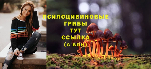 индика Киренск