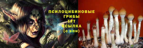 индика Киренск