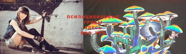 винт Кинешма