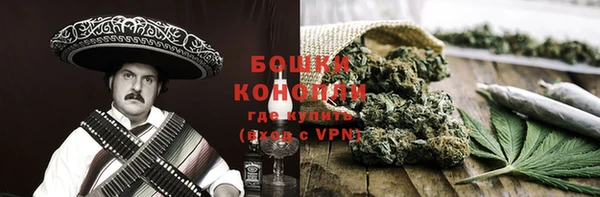 индика Киренск
