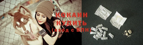 индика Киренск
