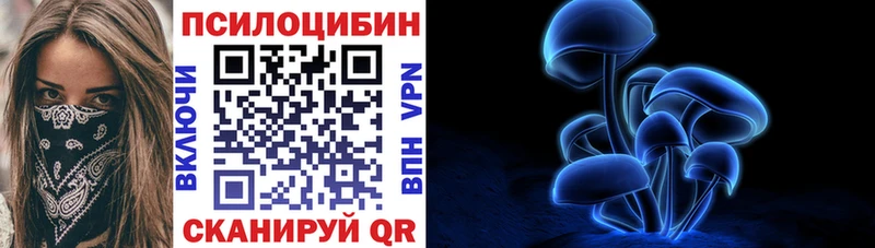 Купить закладки  Власиха  Псилоцибиновые грибы мухоморы 